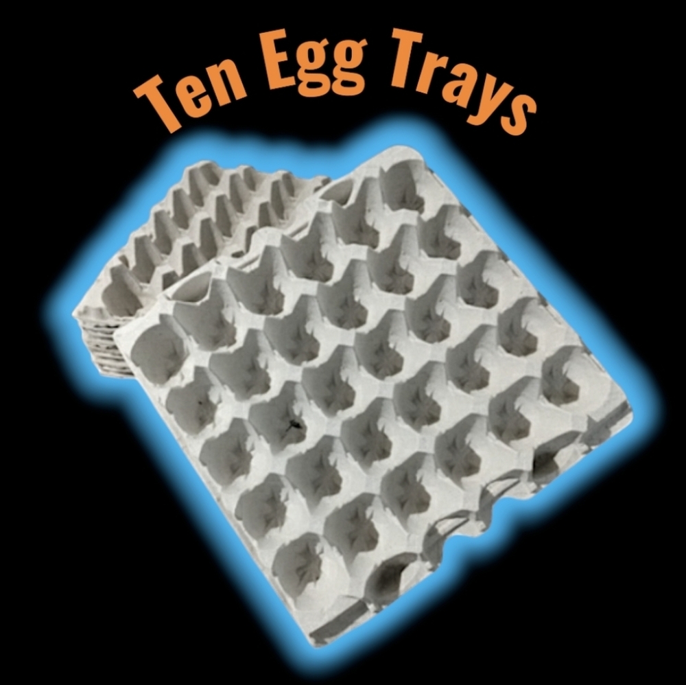 Egg Trays - Pack of 10